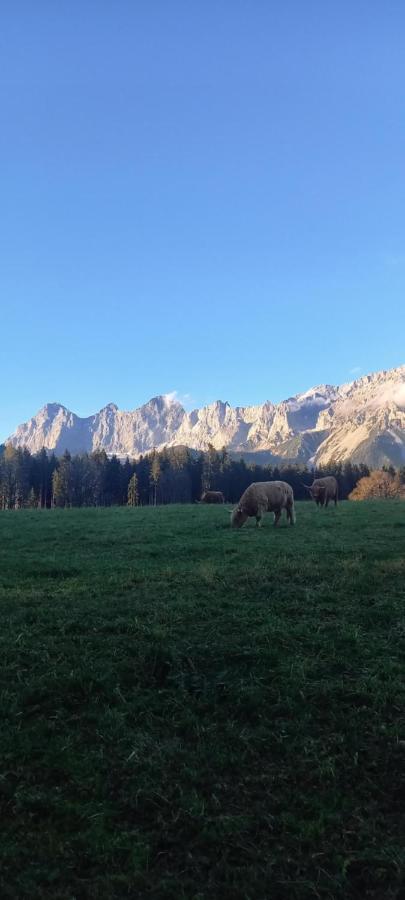 Landhaus-Koenigsberg, Vorberg 360 Ebenguetlweg Ramsau am Dachstein Exteriör bild